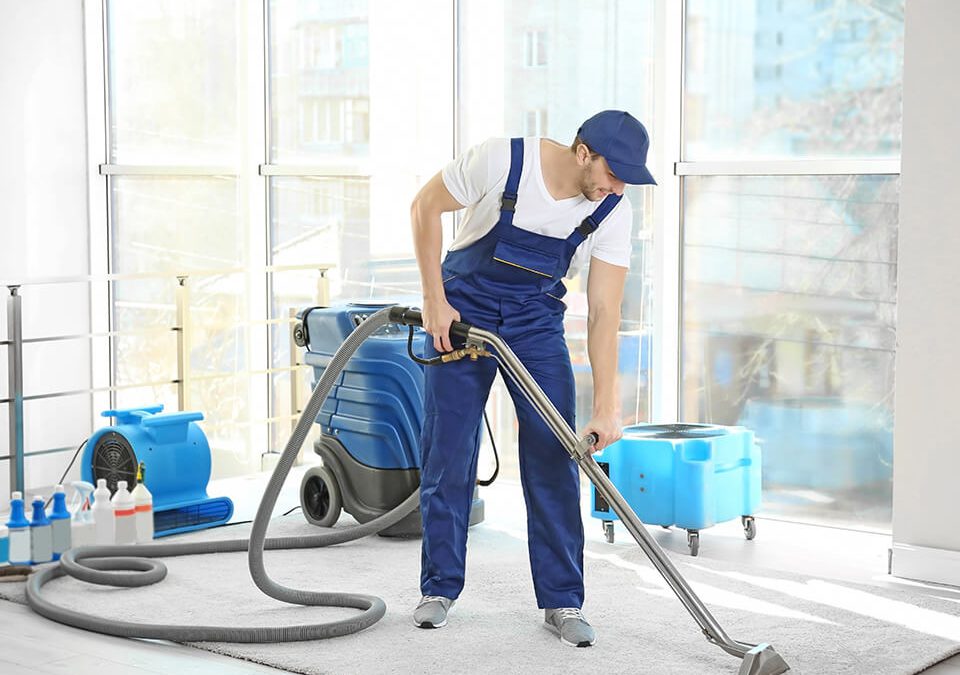 Signs It’s Time for Professional Carpet Cleaning Services