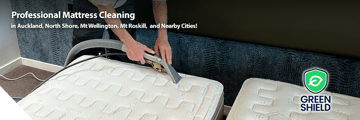 Professional Mattress Cleaning - auckland nz-min