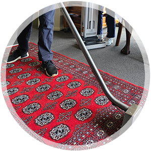 green shield - area rug cleaning - thumbnail