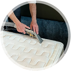 green shield - mattress cleaning - thumbnail