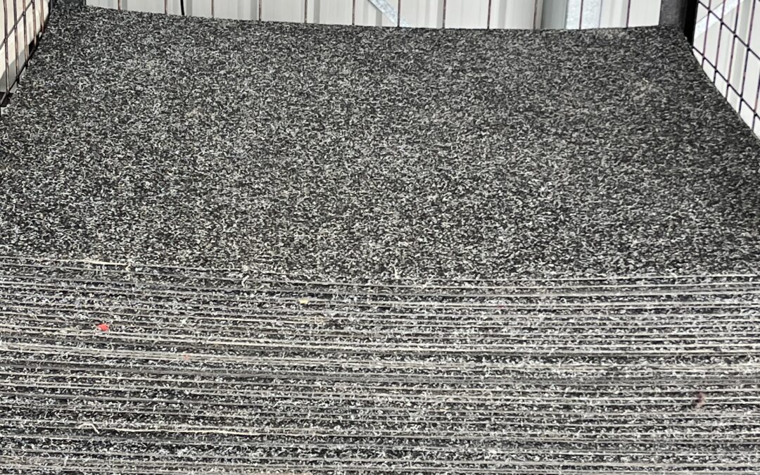 Carpet Cleaning Auckland NZ – Trusted by Event Venues