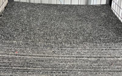 Carpet Cleaning Auckland NZ – Trusted by Event Venues
